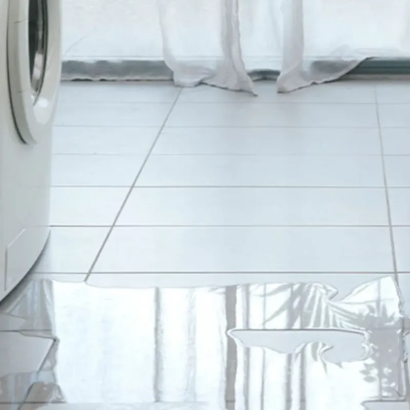 Appliance Leak Cleanup in Pasquotank County, NC
