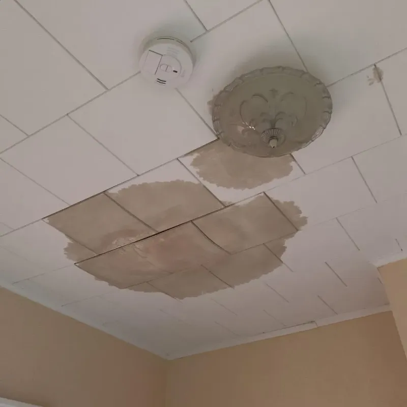 Ceiling Water Damage Repair in Pasquotank County, NC