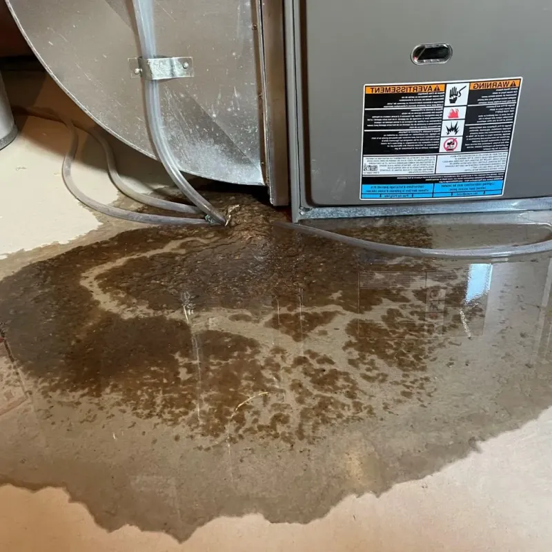 Pipe Burst and Leak Restoration in Pasquotank County, NC
