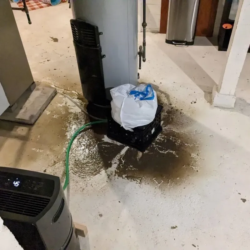 Sewage Backup Cleanup Service in Pasquotank County, NC